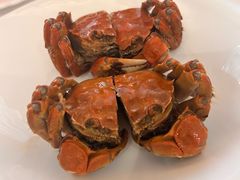 -洋洋中餐馆·SINCE 1997(龙湖星湖天街店)