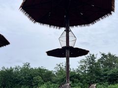 -济南野生动物世界