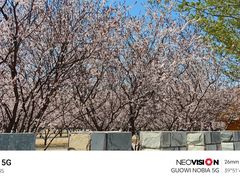 -清真·兰州老马家美食(凤凰岭店)