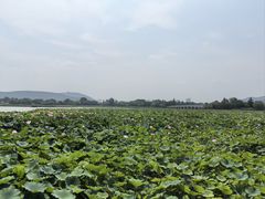 -云龙湖旅游景区