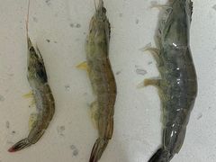 -渔人湾码头海鲜市场负二楼