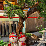 金福源 烟火气满满的铁板烧也太绝了！