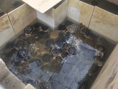 -龟场私房菜