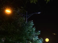 -东来顺铜锅炭火涮肉(上地华联店)