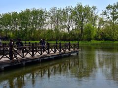 -溱湖国家湿地公园