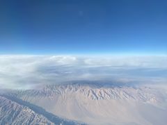 -正飞鲜奶(南湖一期店)