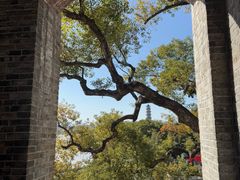 -江心屿景区