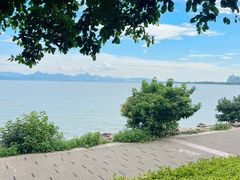 -深圳湾公园(南山区)