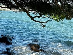 -厦门市鼓浪屿风景名胜区-天主教堂