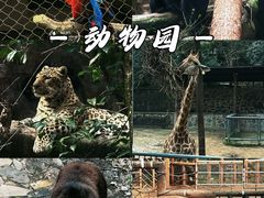 -杭州动物园