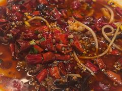 -香港狮子山下·明星粤菜餐厅(北苑店)