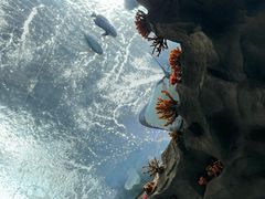 -南昌融创海世界