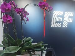 -EF教育成人英语(武林中心)