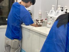-老吴的猫·猫舍(新区店)