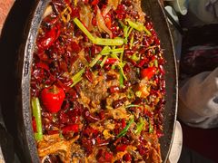 -老板恋上鱼(印象城店)