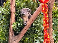 -广州长隆野生动物世界