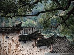 -杨家堂村