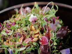 -杭州临平万丽酒店·万丽轩中餐厅
