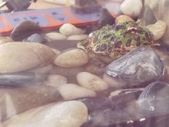 -Rabbit Cafe私房西餐甜点咖啡(栖霞路店)