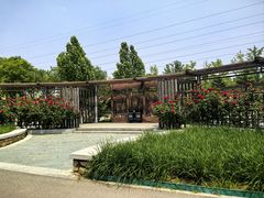 -坝河休闲公园