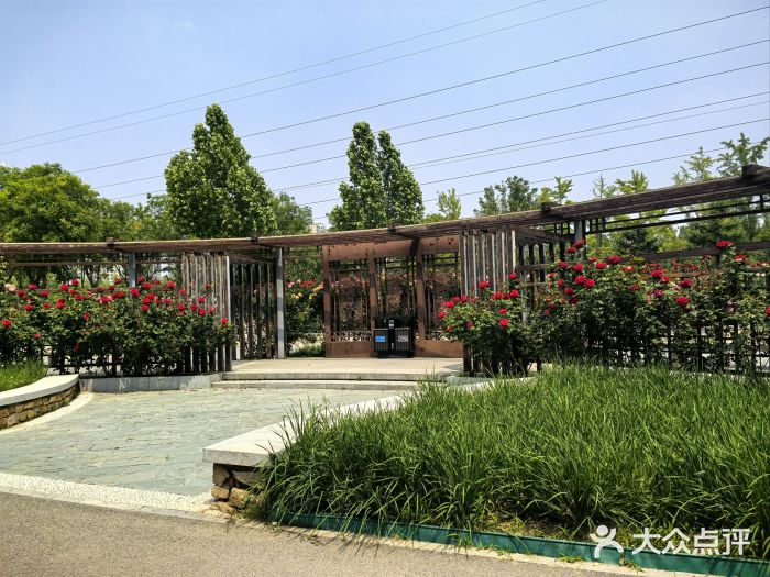 坝河休闲公园图片