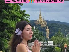 -西双版纳勐泐文化旅游区