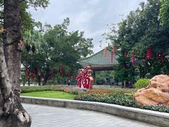 -荔湾湖公园