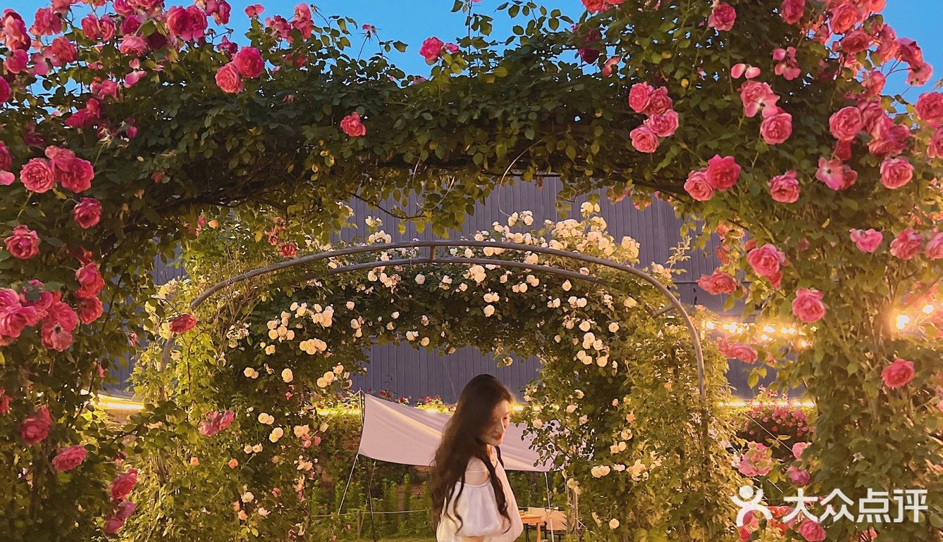 晚风悠然、跌入了花的时间。