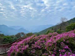 -广州市石门国家森林公园
