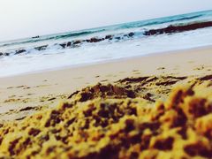 -西涌国际滨海旅游区