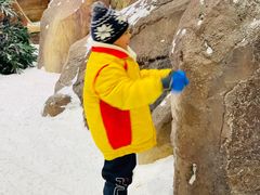 -世界之窗阿尔卑斯冰雪世界