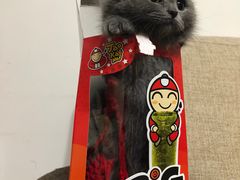 -喵zoo家庭繁育猫舍(尖东智能花园店)