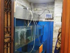 水产区-桦立酒家(宜山路店)