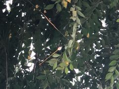 -酷鱼垂钓CLUB(朝阳区博大路店 )