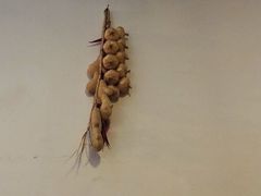 -大龙老火锅·总店(龙头寺店)