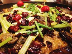 -老板恋上鱼(恒隆广场店)