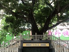 -水围村