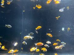 -邯郸海洋世界