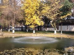-温江公园