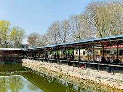 -尚庄度假村·庭台树下·户外烧烤·团建CS·轰趴营地(上庄水库店)