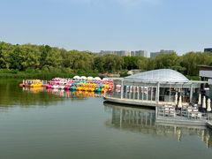 -大兴滨河森林公园