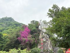 -星湖旅游景区七星岩
