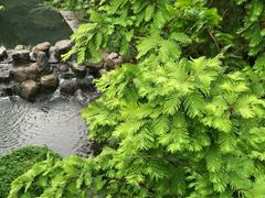 -白水寺森林公园