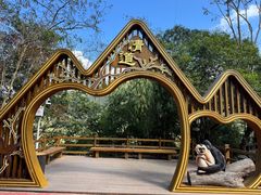 -海南霸王岭国家森林公园