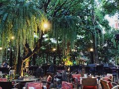 -Fern Forest Cafe