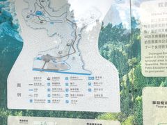 -都江堰中华大熊猫苑