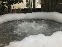 -德州凤冠假日酒店