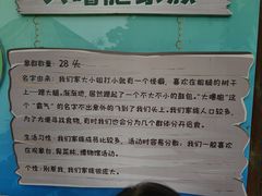 -野象谷景区
