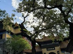 -千佛山风景名胜区