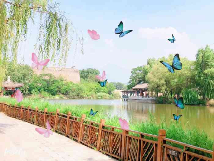 燕塞湖鸟语林景区-"又一次来到燕塞湖鸟语林,这里鸟类动物品种.